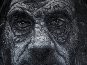 Hedley wird durch seine Porträt- Fotografie inspiriert, den Menschen zu malen, und umgekehrt inspiriert ihn seine Malerei bei der Fotografie.
